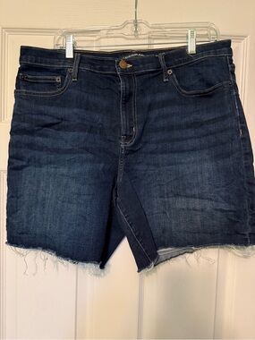 Calvin Klein Indigo Frayed Hem Denim Shorts